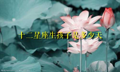 十二星座生孩子是多少天