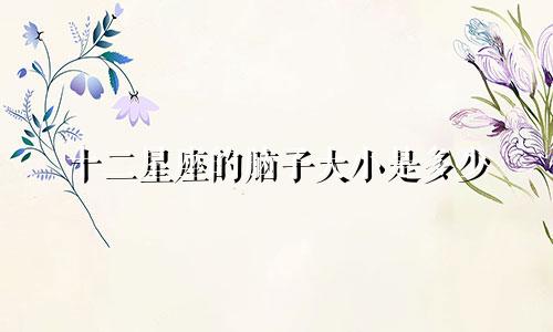 十二星座的脑子大小是多少