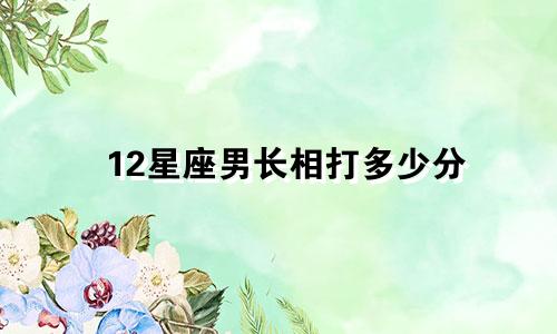 12星座男长相打多少分
