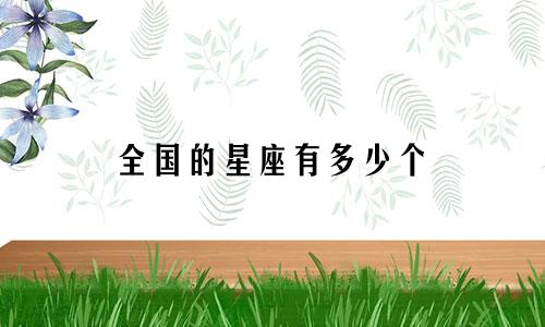 全国的星座有多少个