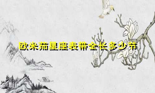 欧米茄星座表带全长多少节