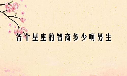 各个星座的智商多少啊男生