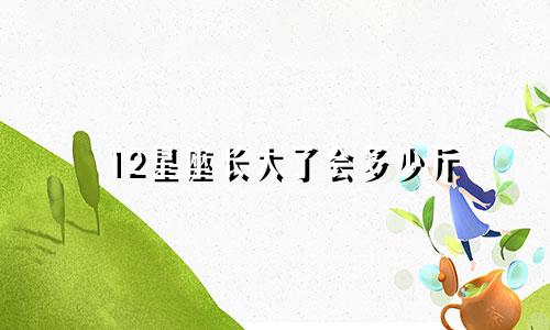 12星座长大了会多少斤