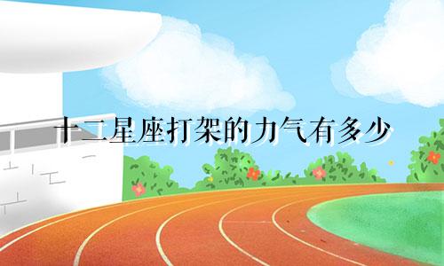 十二星座打架的力气有多少