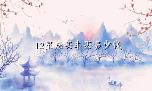 12星座买车买多少钱