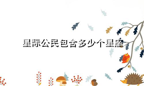 星际公民包含多少个星座