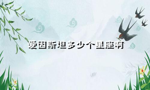 爱因斯坦多少个星座啊