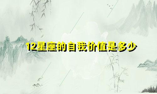 12星座的自我价值是多少