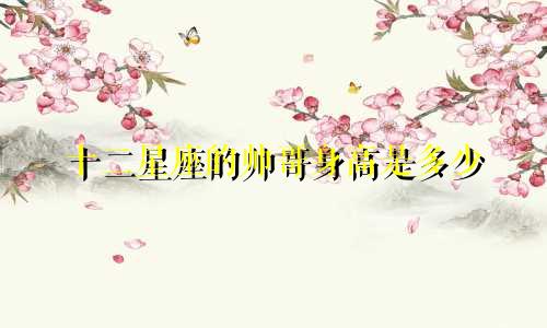 十二星座的帅哥身高是多少