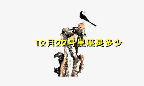12月22号星座是多少