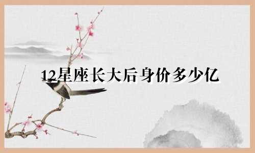 12星座长大后身价多少亿