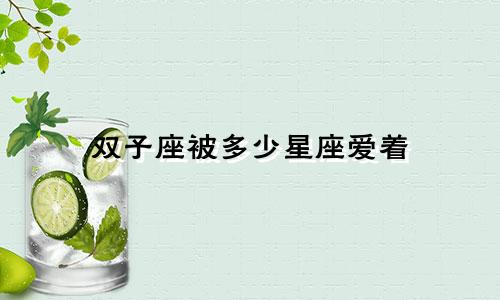 双子座被多少星座爱着