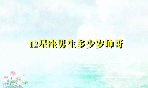 12星座男生多少岁帅哥