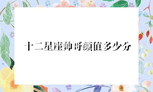 十二星座帅哥颜值多少分