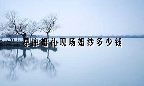 星座婚礼现场婚纱多少钱