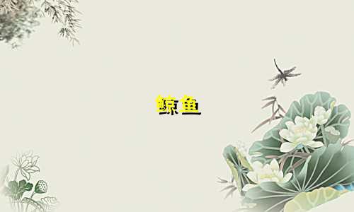 鲸鱼 星座纹身价格是多少