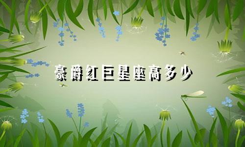 豪爵红巨星座高多少