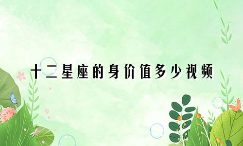 十二星座的身价值多少视频
