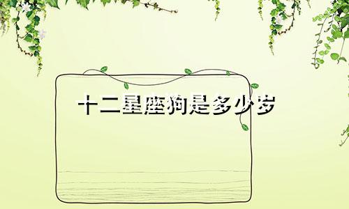 十二星座狗是多少岁