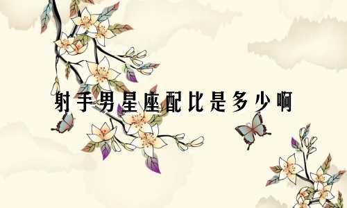 射手男星座配比是多少啊