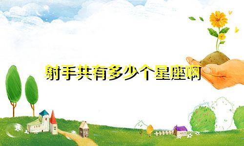 射手共有多少个星座啊