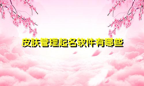 皮肤管理起名软件有哪些