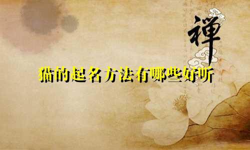 猫的起名方法有哪些好听