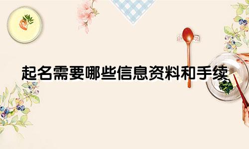 起名需要哪些信息资料和手续