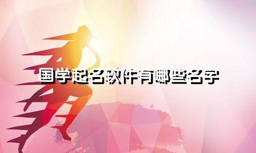 国学起名软件有哪些名字