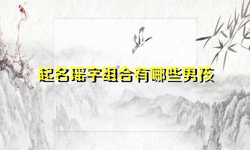 起名瑶字组合有哪些男孩