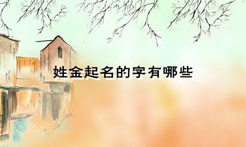 姓金起名的字有哪些