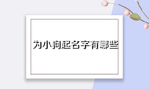 为小狗起名字有哪些
