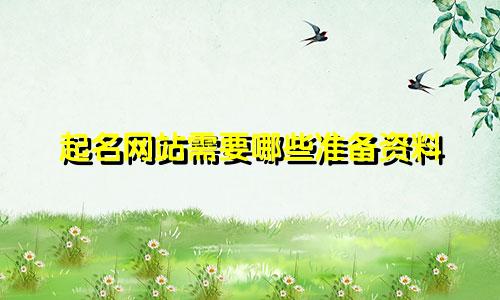 起名网站需要哪些准备资料