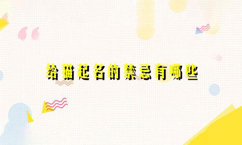 给猫起名的禁忌有哪些