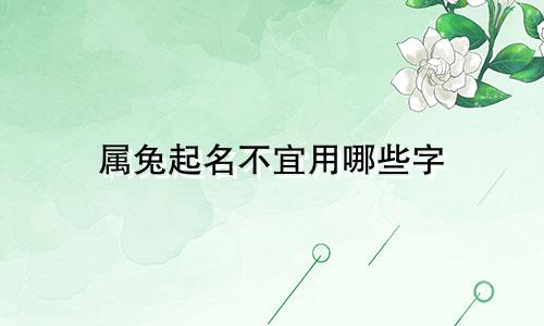 属兔起名不宜用哪些字