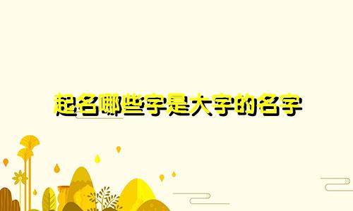 起名哪些字是大字的名字