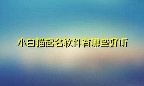 小白猫起名软件有哪些好听