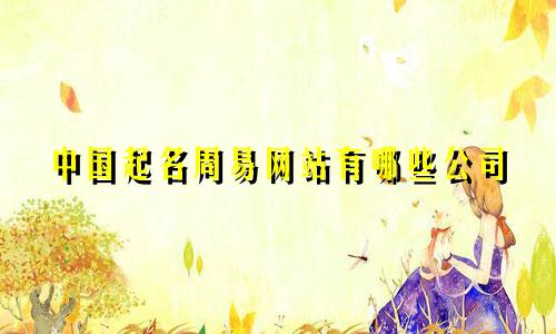 中国起名周易网站有哪些公司