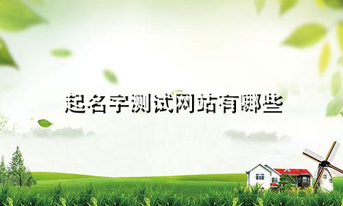 起名字测试网站有哪些