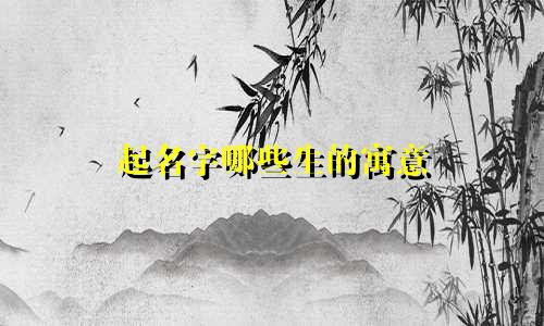 起名字哪些生的寓意