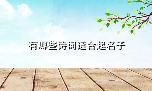 有哪些诗词适合起名子