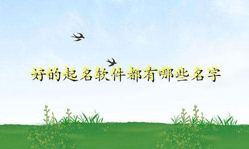好的起名软件都有哪些名字