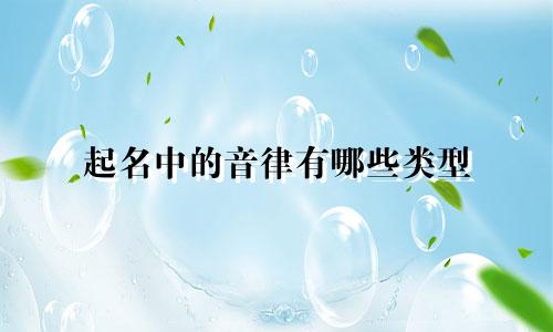 起名中的音律有哪些类型