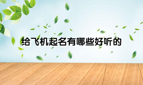 给飞机起名有哪些好听的