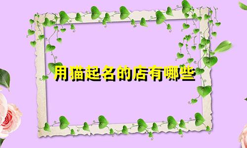 用猫起名的店有哪些