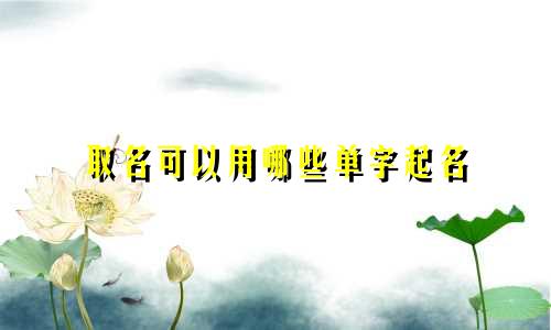 取名可以用哪些单字起名