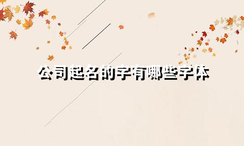 公司起名的字有哪些字体