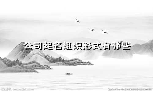 公司起名组织形式有哪些