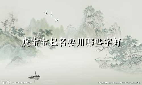 虎宝宝起名要用哪些字好