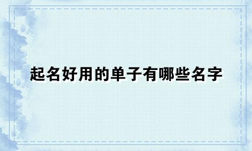 起名好用的单子有哪些名字